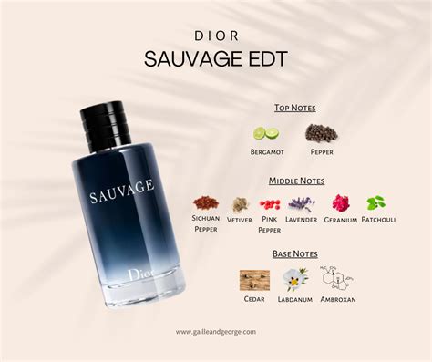 dior sauvage gimme gimme|dior sauvage cologne top notes.